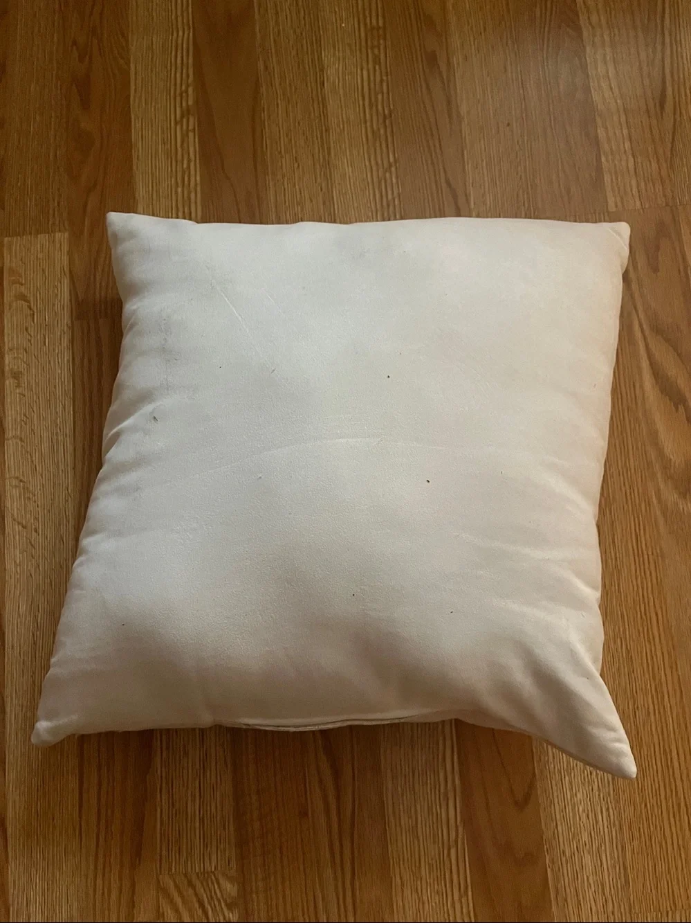 Autumn Harvest Pumpkin Decorative Throw Pillow - Cream and Orange